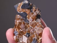 ANDRADITE   with CHALCOPYRITE