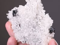 SCHEELITE with QUARTZ and CALCITE