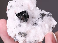 TETRAHEDRITE with CALCITE