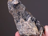 FÜLÖPPITE