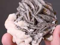SIDERITE with CALCITE