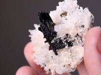 HÜBNERITE with QUARTZ and PYRITE