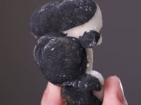 CALCITE   with BOULANGERITE inclusions