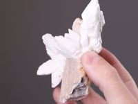 GYPSUM
