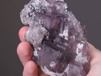 FLUORITE  with GALENA