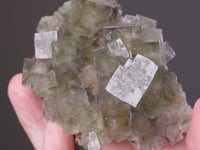 FLUORITE with GALENA