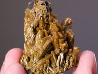 PYROMORPHITE with WULFENITE