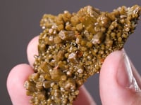 PYROMORPHITE  with WULFENITE