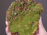 PYROMORPHITE