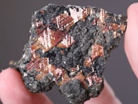 RUTILE Var. SAGENITE