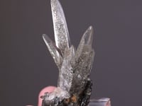 QUARTZ with Chlorite   Tessiner Habit