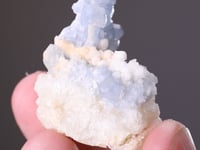 CELESTINE