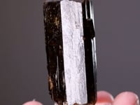 DRAVITE