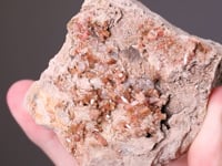 EPIDOTE var. Withamite