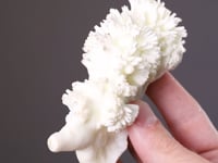 ARAGONITE