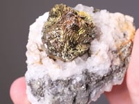 CHALCOPYRITE   on CALCITE