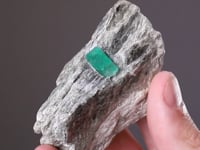 BERYL Var. EMERALD in SCHIST