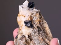 MAGNETITE   with RUTILE