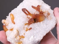 QUARTZ with CALCITE  and ALBITE