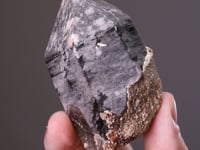 SCHEELITE on QUARTZ