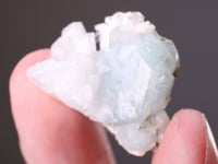 APOPHYLLITE   with SCOLECITE