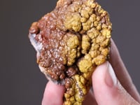 MIMETITE Var. CAMPYLITE