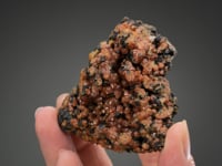 MIMETITE  var CAMPYLITE