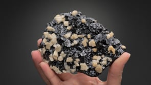 SPHALERITE with DOLOMITE