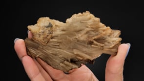 CHALCEDONY