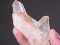 QUARTZ   Japan Law Twin