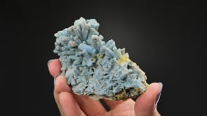 PLUMBOGUMMITE   ps. after PYROMORPHITE