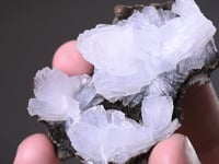 EPISTILBITE