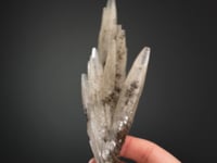 ARAGONITE