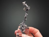NATIVE SILVER