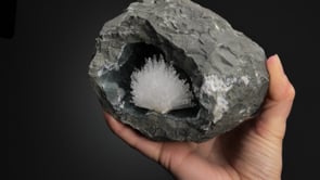 SCOLECITE