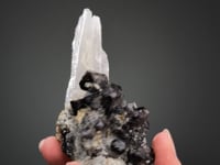 SCHEELITE   on QUARTZ and CHALCOPYRITE