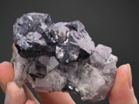 GALENA  with FLUORITE