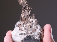 Native SILVER