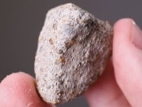 METEORITE (CHONDRITE)  (Fell 12th March 1899)