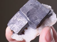 GALENA with CHALCOPYRITE  on QUARTZ