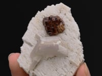 MICROLITE with Lepidolite   on  MICROCLINE