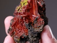 CROCOITE with PYROMORPHITE and VAUQUELINITE