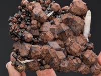 ANDRADITE with HEDENBERGITE  and QUARTZ
