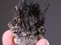 NATIVE SILVER