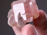 FLUORAPATITE  with MUSCOVITE
