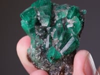 BERYL Var. EMERALD