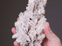 CERUSSITE with ANGLESITE