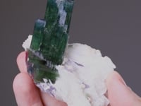 ELBAITE on QUARTZ with LEPIDOLITE