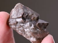 MELLITE