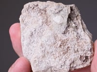 SCHEELITE   with QUARTZ